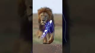 Lion Attitude shayari status Shayari status Attitude shayari #youtubeshorts#viral#shayari#shorts