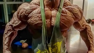 NEVER SURRENDER - BODYBUILDING MOTIVATION 2024