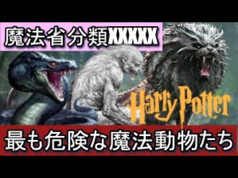 最も危険な魔法生物まとめ（魔法省分類XXXXX）【ハリーポッター・ファンタスティックビースト】