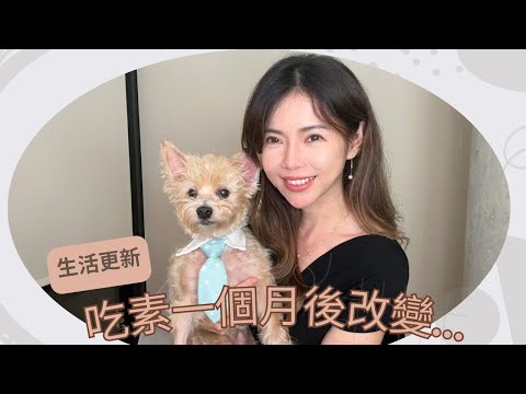 閒聊: 生活改變 開始吃素啦～原因？身體的變化？ 再度救回 Adobe一命 | Celine C琳