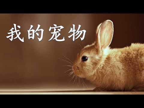 学前教育班 Prasekolah 幼儿园 Preschool | Chinese | Theme 主题 ：我的宠物 My pet | Haiwan kesayangaan