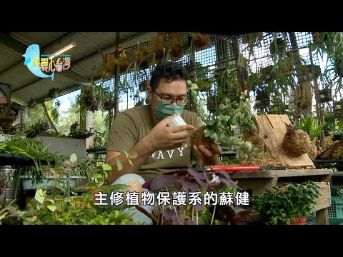 【屏東長治】豬舍變身為綠園區！蘇健植栽上板多創意｜用心的產業｜393｜#美麗心台灣