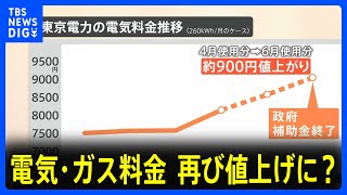 「光熱費あがるのは勘弁」電気・ガス料金再び値上げに？ 負担軽減措置、5月使用分で終了へ｜TBS NEWS DIG