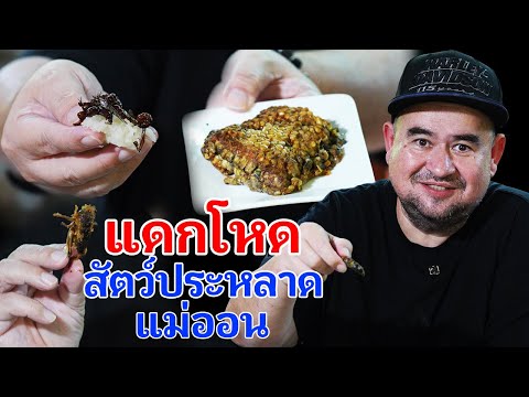 หม่อมถนัดแดก | แดกโหด สัตว์ประหลาดแม่ออน | ร้านนี้ต้องมีซ้ำแน่นอน