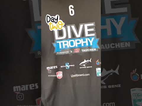 #divetropy finals 2022 day 2 🌞🌊👌 Join now: www.divetrophy.com