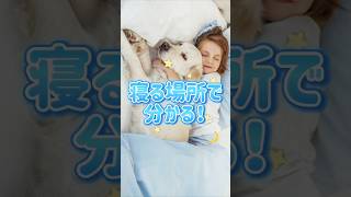 愛犬の寝る場所でわかる！飼い主とワンちゃんの信頼関係💞