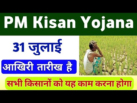 PM Kisan Yojana Last Date 31 July 2024 New Update | PM Kisan Latast Update | Mahi Info