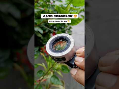 Mobile Macro Photography By Ayush Sah - Our Customer