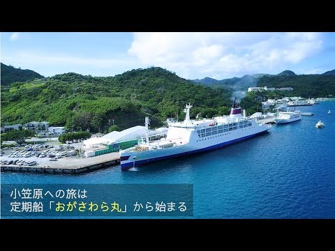 心、動く島。小笠原～おがさわら丸編～　30sec