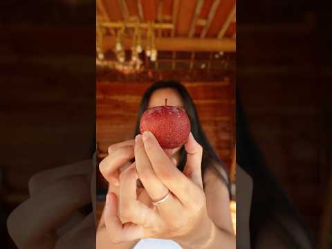 Let eat this plum for the firsttime and why it's expensive (Php710 for 6pieces)