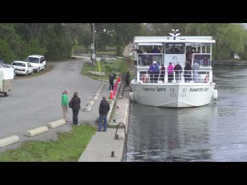 Lake Tours from Fenelon Falls