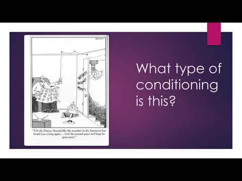 Module 4 - Operant Conditioning Recording