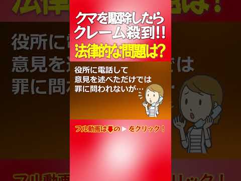 【切り抜き】クマ続々と出現！…スーパーに 住宅に…“駆除”を弁護士が考える#shorts