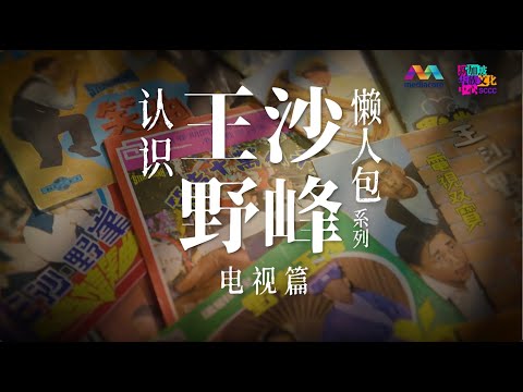 Get to know Wang Sha Ye Feng - Television Edition 《认识王沙野峰：懒人包系列》- 电视篇