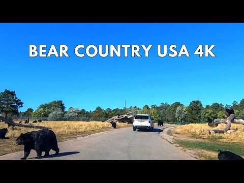 Experience the WILDEST 4K Drive Through Adventure in South Dakota!