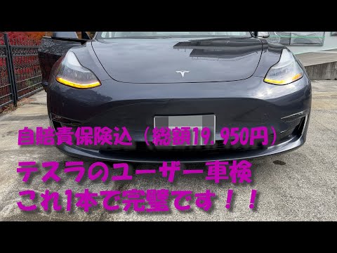 テスラのユーザー車検！これ1本ですべてわかります。