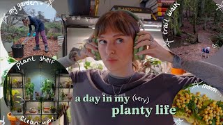 🌿 spend a day with me (a crazy plant lady 🤪) 🌿 plant shelf reset, garden clean up, & more!