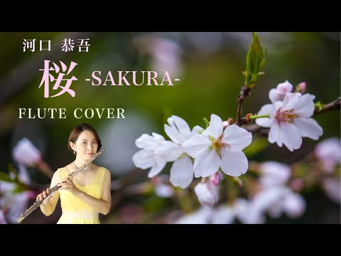 【歌うフルート】河口恭吾「桜」をフルートで演奏してみた！〜SAKURA〜