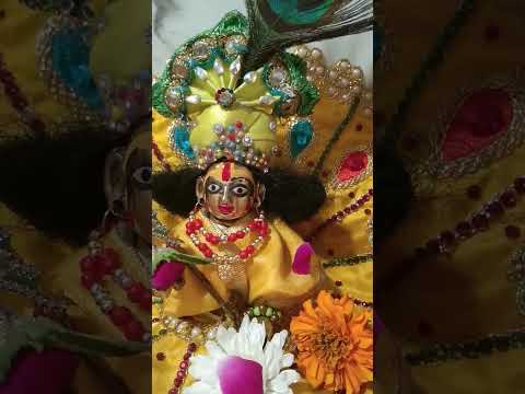 he krishna he Narayan ham sab apki saran me#harekrishna #narayan #youtube #viralvideo #shortsfeed