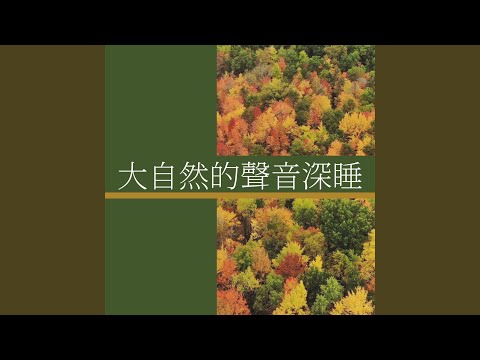 大自然的聲音深睡