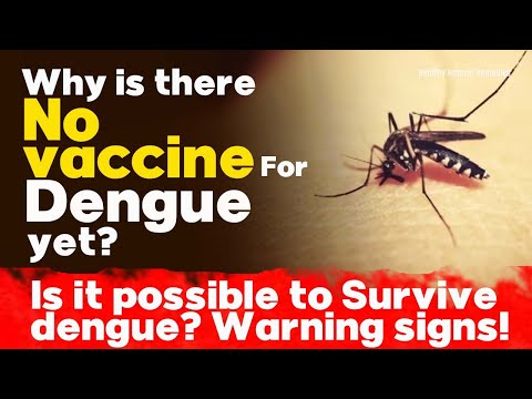 Why is there no vaccine for Dengue yet? Is it possible to survive dengue? Dengue, Malaria signs