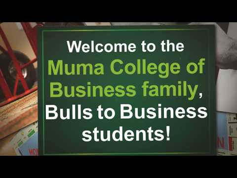 Bulls to Business Program