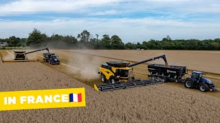 New Holland CR11 & CR10 | 5 combines in action! | Performance Tour 2024