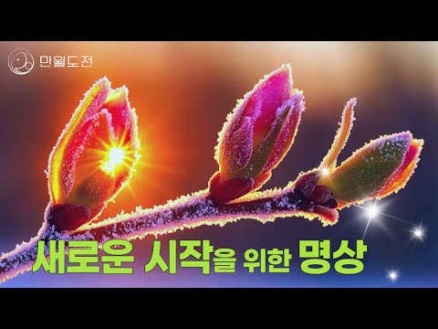 2025년 새로운 시작을 위한 명상 가이드 | 2025년 목표 세우기 | 2024년 한 해를 돌아보고 새로운 목표와 계획을 세우는 선도명상 | 만월도전TV #명상가이드 #신년계획