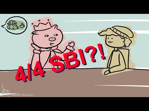 No 4 out of 4 SBI for you! (Animatic)