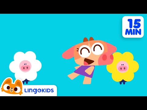 MISS MARY MACK + More Songs 🎒 Back to School Music for Kids | Lingokids