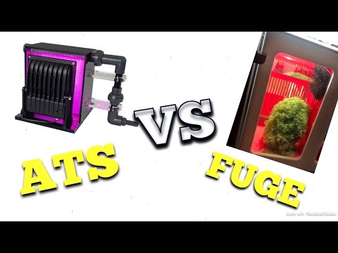 ATS vs Fuge which should I do? + SICCE unboxing