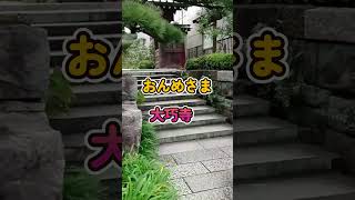 【鎌倉散策】おんめさま大巧寺　安産祈願の寺 #shorts #鎌倉