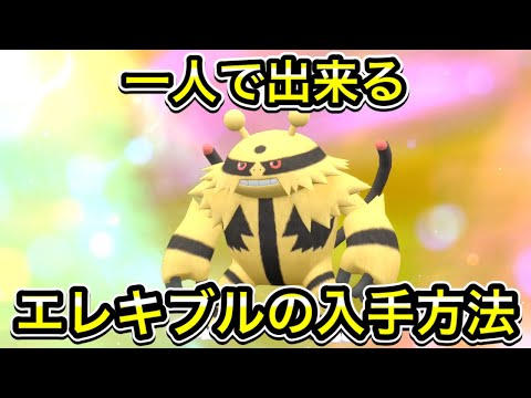 【ポケモンSV】エレブーからエレキブルへの進化方法！１人で出来ます