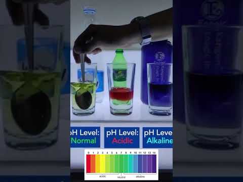 Water pH Level check || Enagic Kangen Water