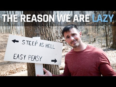 the reason we are LAZY