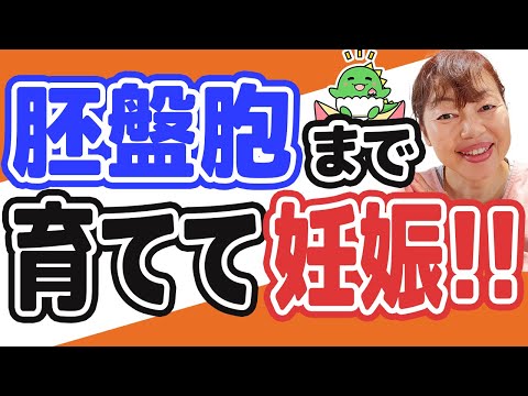 【体外受精・顕微授精】【妊活】採卵・受精したのに…！胚盤胞まで育たない…原因は？