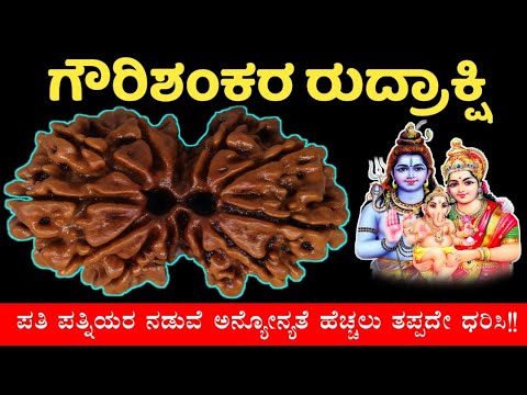 ಗೌರಿಶಂಕರ ರುದ್ರಾಕ್ಷಿಯ ರೋಚಕ ಸಂಗತಿಗಳು | Importance of Gauri Shankar Rudraksha