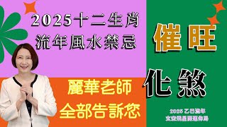 #2025十二生肖流年風水禁忌 #2025流年風水化煞和催旺大法 #2025流年九宮飛星好方位 #2025玄空飛星 #2025流年風水佈局 #2025招財風水 #2025乙巳年居家和辦公室風水佈局