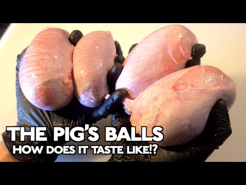 How does the Pig’s balls taste like!?