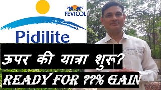 Pidilite Industries Ltd share latest news | Pidilite Industries Ltd share valuation | Pidilite share