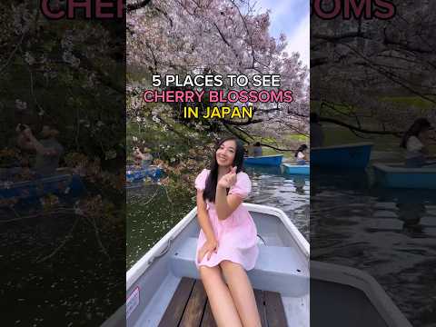 5 CHERRY BLOSSOM SPOTS IN JAPAN 🌸😍🎌 #japan #japanvlogs #cherryblossom #cherryblossoms