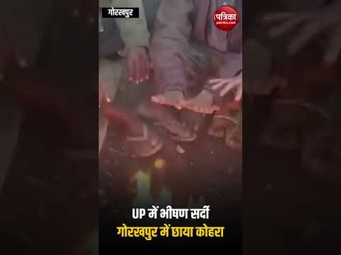 Gorakhpur News: UP में भीषण सर्दी, गोरखपुर में छाया कोहरा #shorts