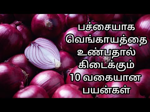 பச்சையாக வெங்காயத்தை உண்பதால் கிடைக்கும் 10  வகையான பயன்கள் | eating raw onion health benefits