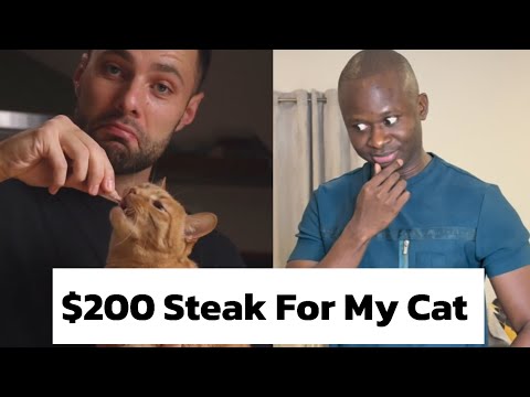 $200 Zebra Steak For My Cat