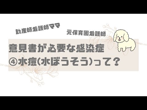 【保育園看護師】意見書が必要な感染症④水痘(水ぼうそう)とは？