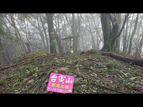 凱米颱風過後6日溪頭景象：鳳凰山北嶺→台寅山18℃，海拔1810公尺→朦朧美麗的廣闊茶園→溪頭天文台→3.1K後的鳳凰林道颱風破壞景況→857賞鳥步道最上面一邊淘空，步步小心下山 2024年7月31日