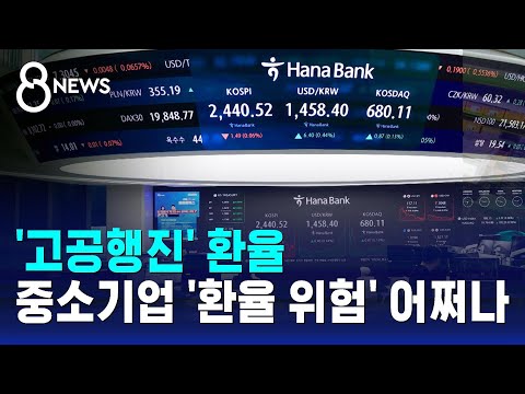 '고공행진' 환율…중소기업 '환율 위험' 어쩌나 / SBS 8뉴스