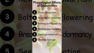 Plant hormones🔥 #shorts #ytshorts #biology #exam #plantphysiology