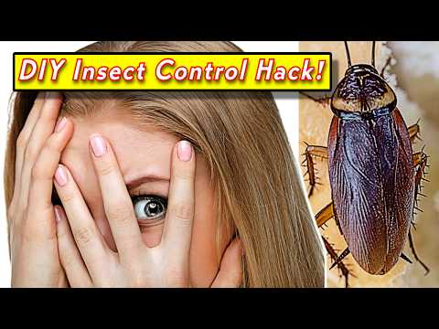 DIY Pest Control Hack That Actually Work!