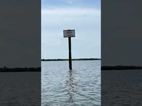 Kayaking in St Augustine from Anastasia State Park